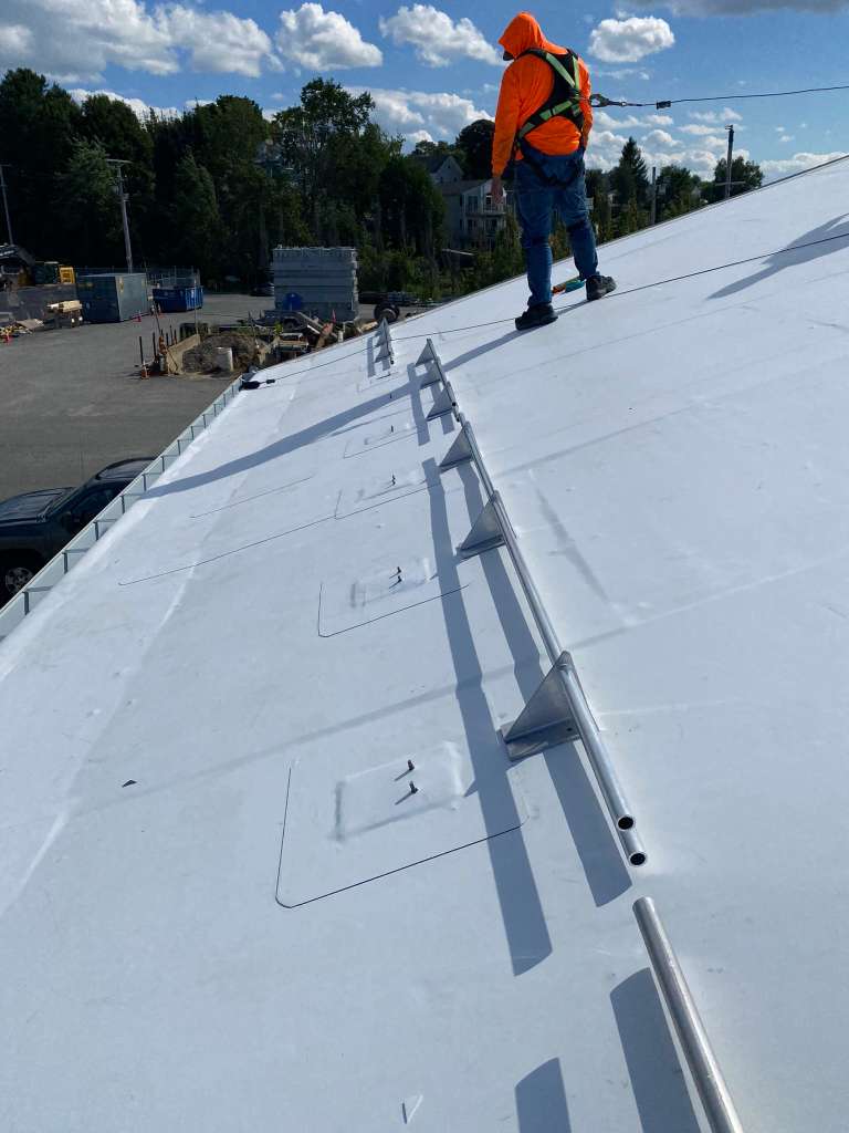 All Photos - Project Photo