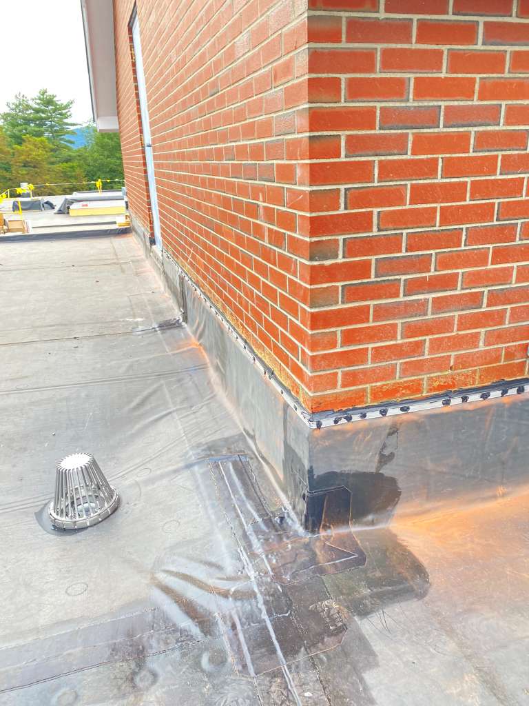 All Photos - Project Photo