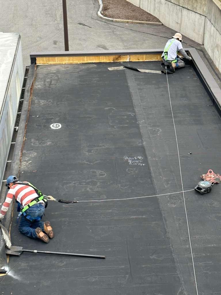 All Photos - Project Photo