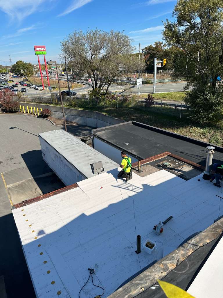 All Photos - Project Photo