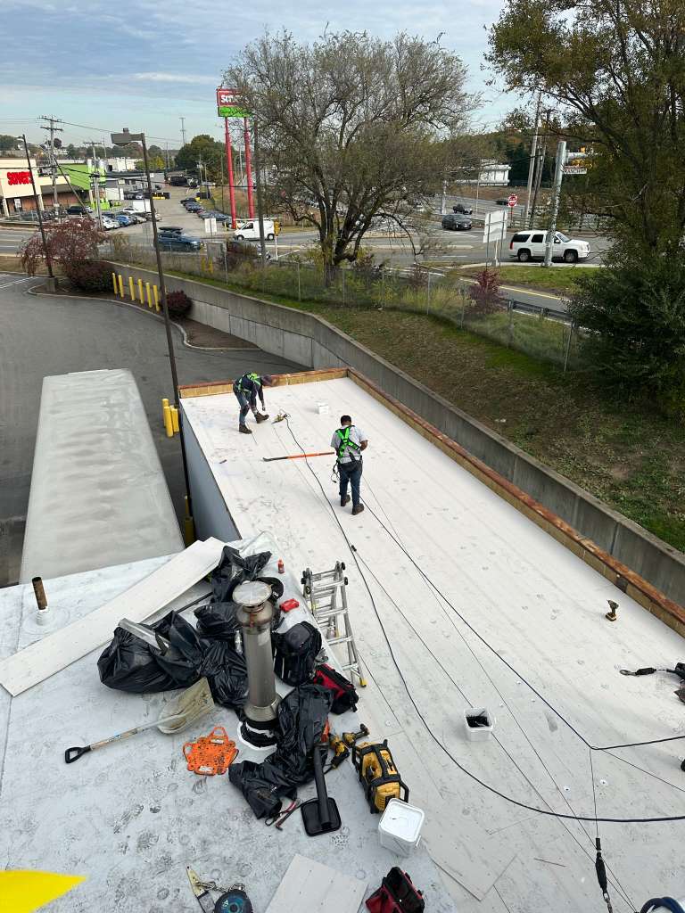 All Photos - Project Photo