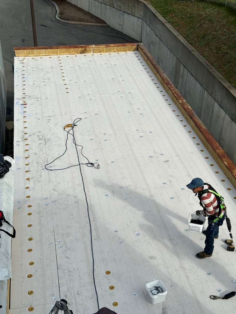 All Photos - Project Photo