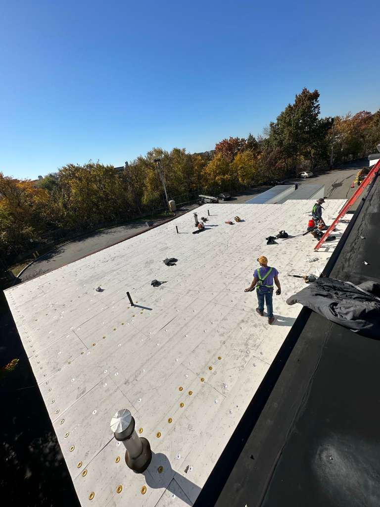 All Photos - Project Photo