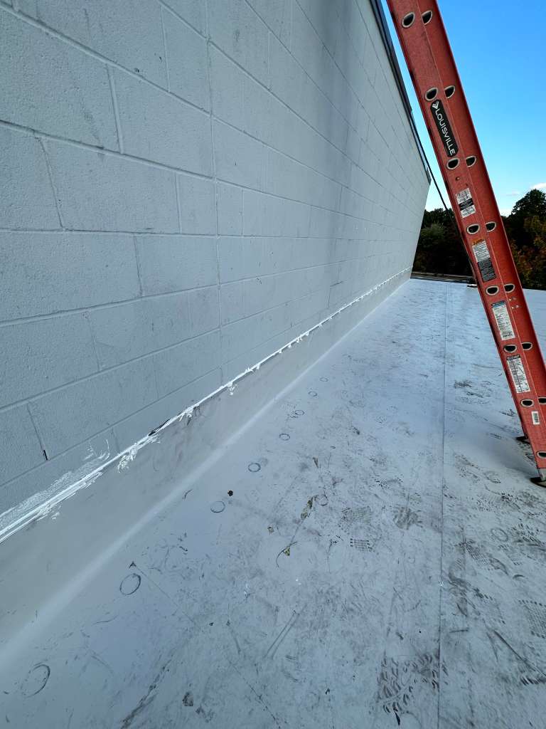 All Photos - Project Photo