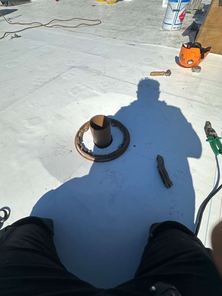 All Photos - Project Photo