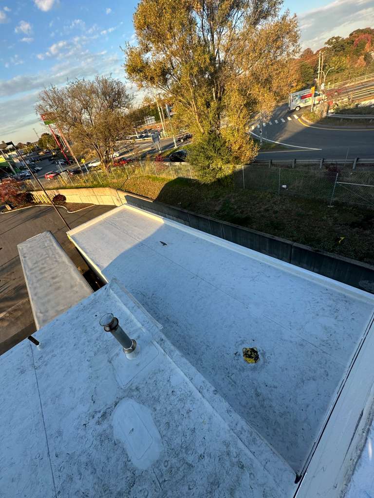 All Photos - Project Photo