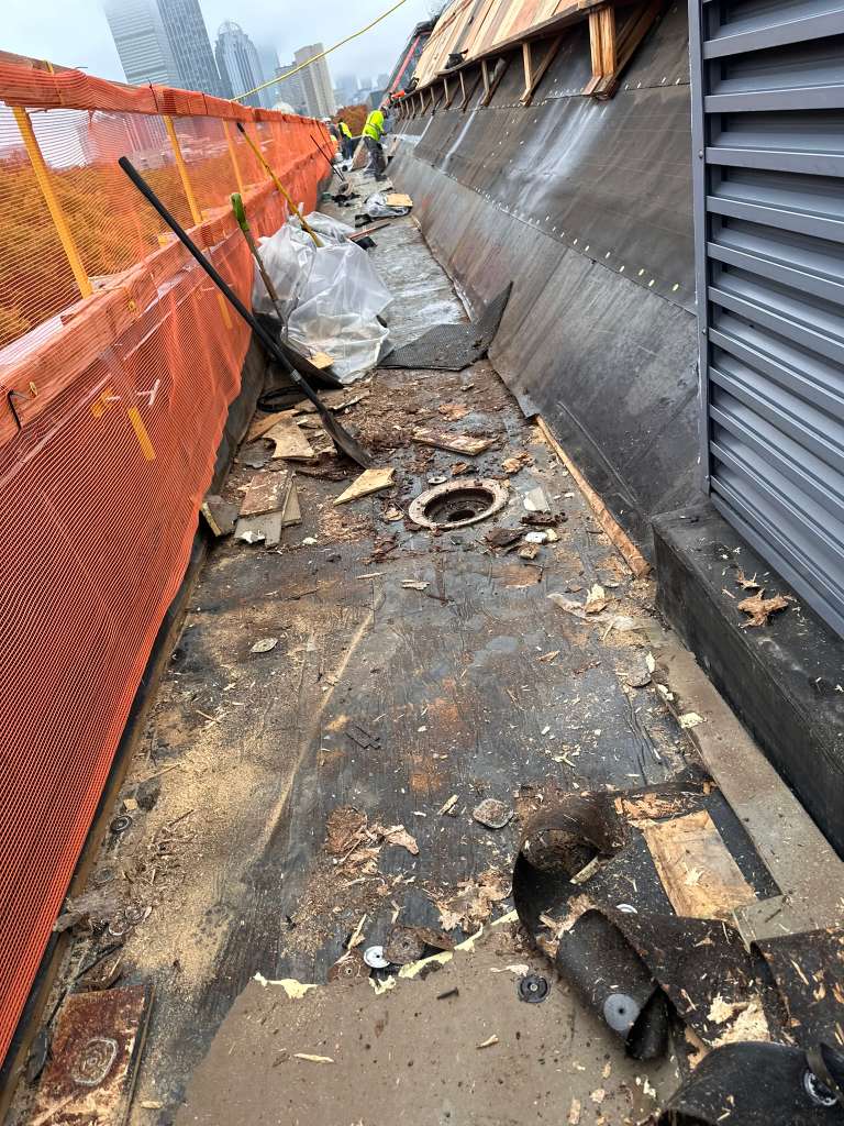 All Photos - Project Photo